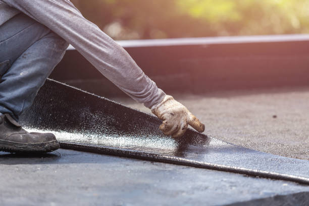 Professional Interior Drainage System technician working in Alger, OH